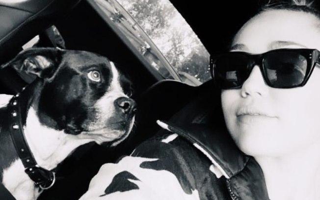 Miley Cyrus desabafa sobre morte de cadela e emociona fãs