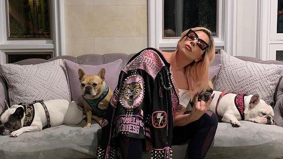 Lady Gaga se pronuncia após roubo dos seus dois cachorros