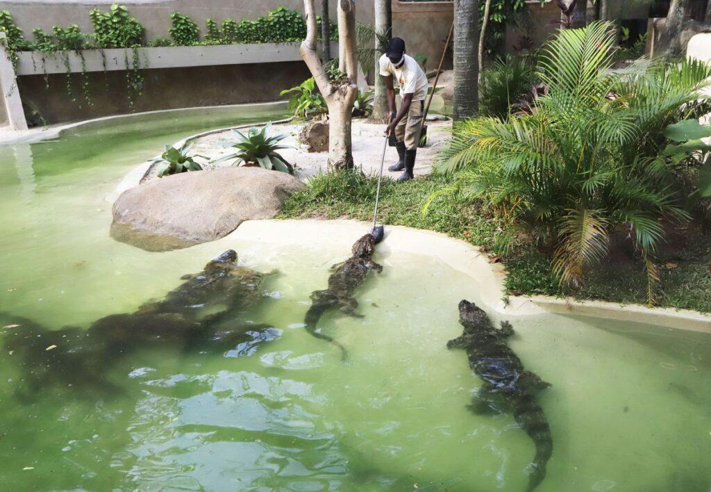 BioParque do Rio, antigo Jardim Zoológico, é inaugurado
