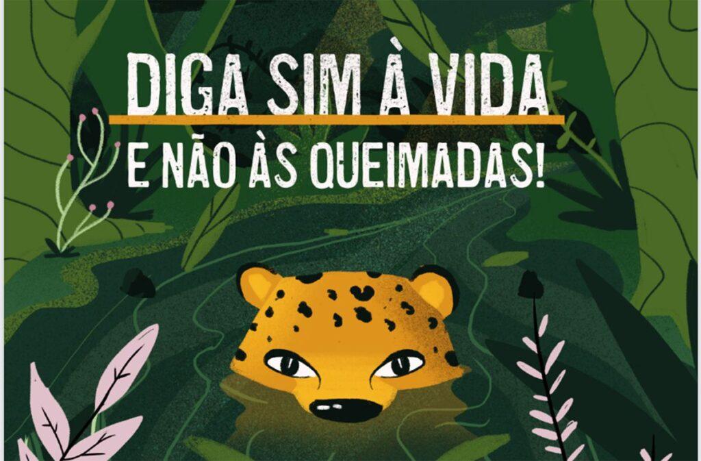 Lançada cartilha para conscientizar alunos da Amazônia sobre queimadas
