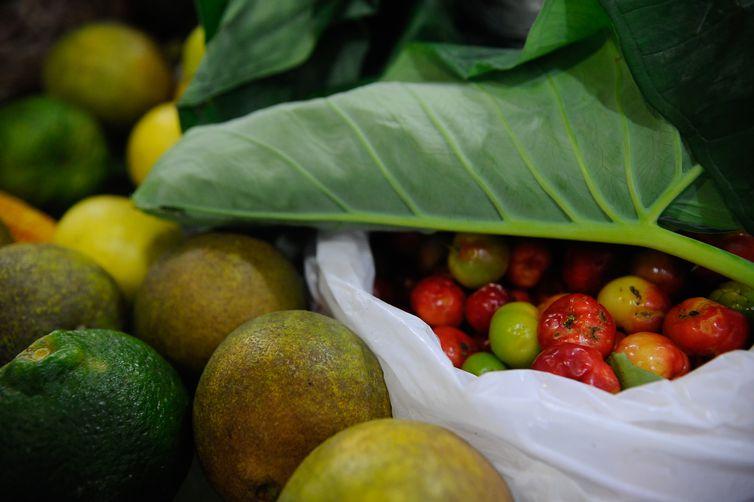 ONU: 931 milhões de toneladas de alimentos foram para o lixo em 2019 