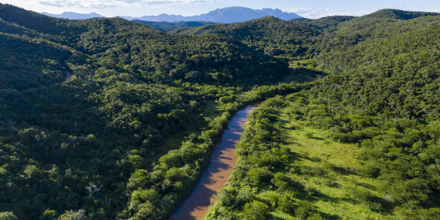 Com imagens inéditas, plataforma virtual permite navegar pelo Rio Doce