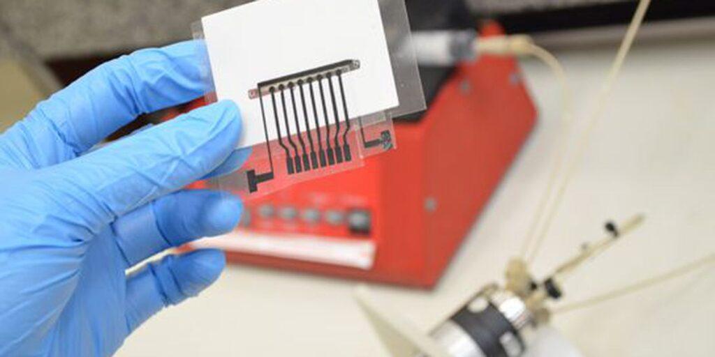 Currículo Lattes terá nova seção para registrar licença-maternidade