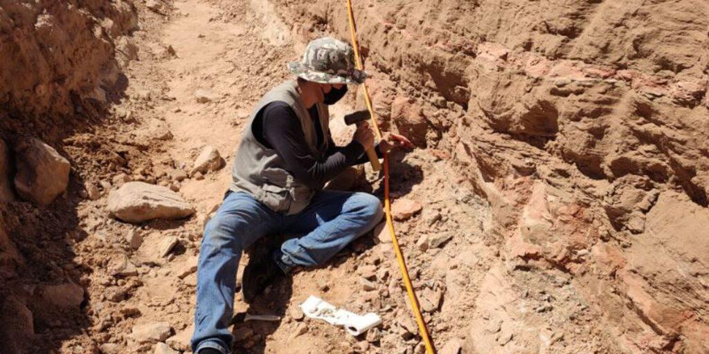 Escavação em rodovia de SP revela fragmentos de dinossauro