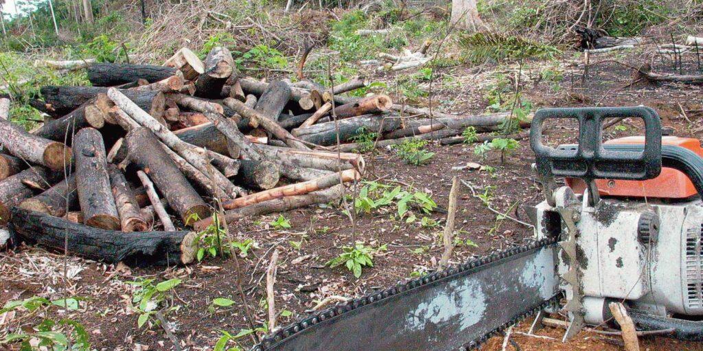 Plano do governo apresenta metas para reduzir desmatamento na Amazônia