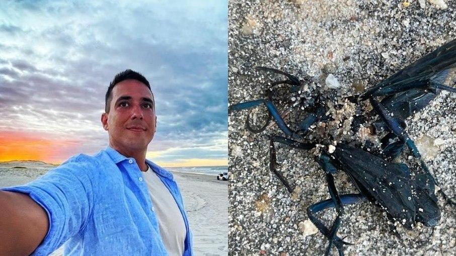 André Marques é picado por vespa-do-cão nas gravações de 