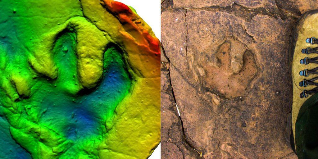 Estudo confirma presença de dinossauros em Mato Grosso do Sul