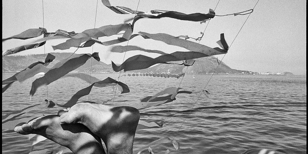 Museu abre exposição em Niterói e pede que visitante busque novos ares