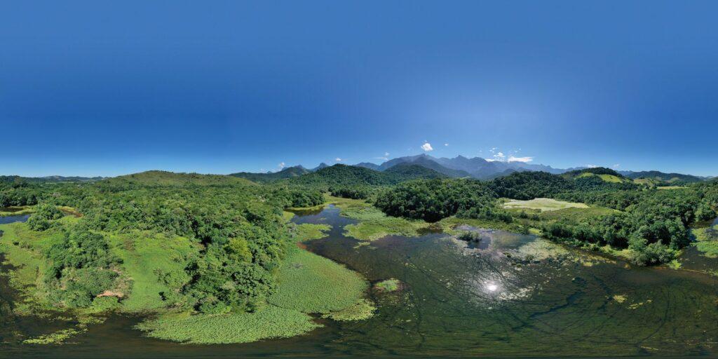 Bosque da Memória faz homenagem a vítimas da covid-19 no estado do Rio