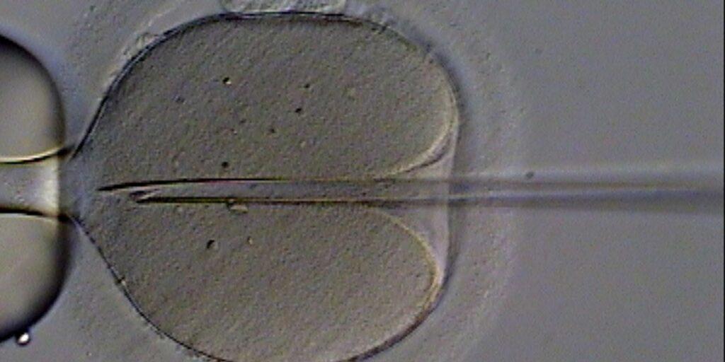 CFM publica novas normas éticas para reprodução assistida no Brasil
