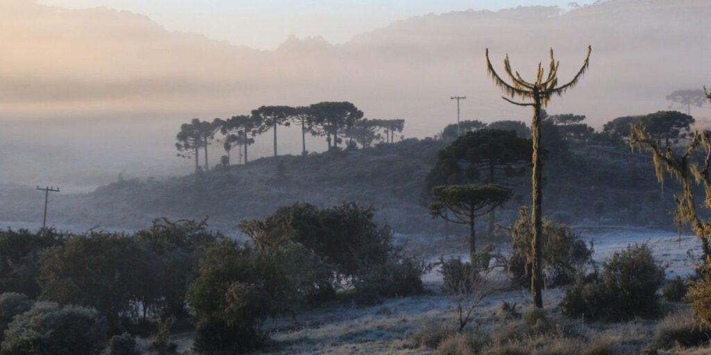 Massa de ar polar provoca frio intenso durante a semana no país