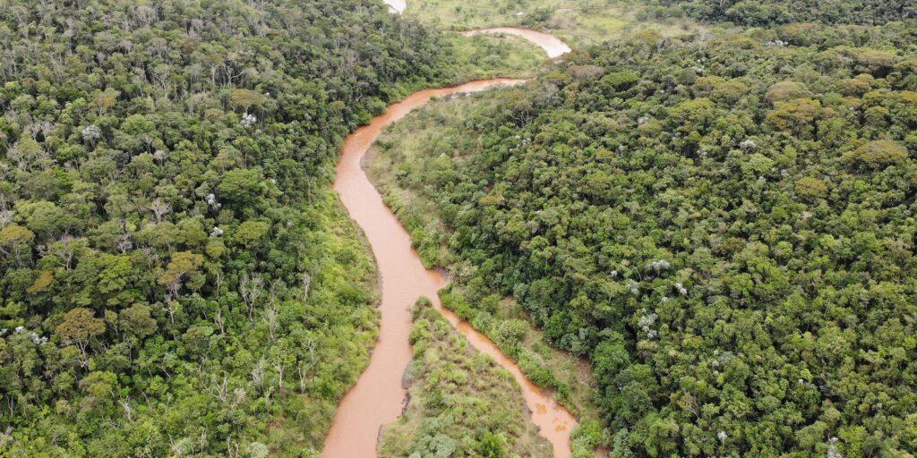 Fundação Renova restaura áreas atingidas por rompimento de barragem