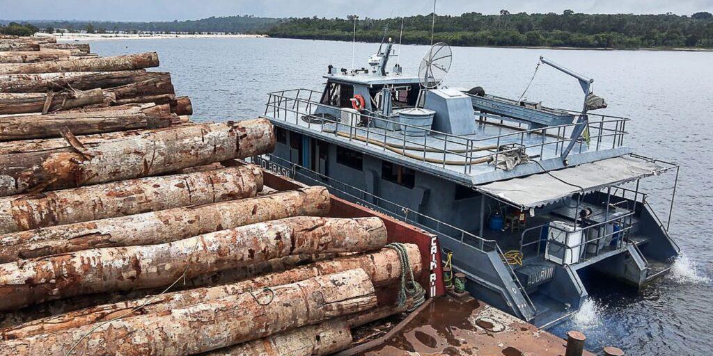Pará terá Forças Armadas no combate a crimes ambientais