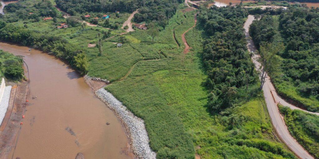 Reflorestamento em Brumadinho usa técnicas inéditas, mas só atingiu 1%