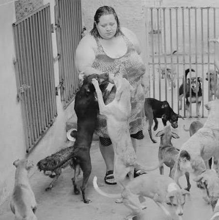 Cuidadora do Abrigo dos Animais Refugados morre de Covid; voluntários pedem ajuda para continuar cuidando dos animais
