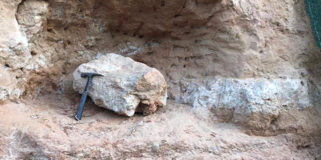 Fóssil de dinossauro é encontrado no interior de SP