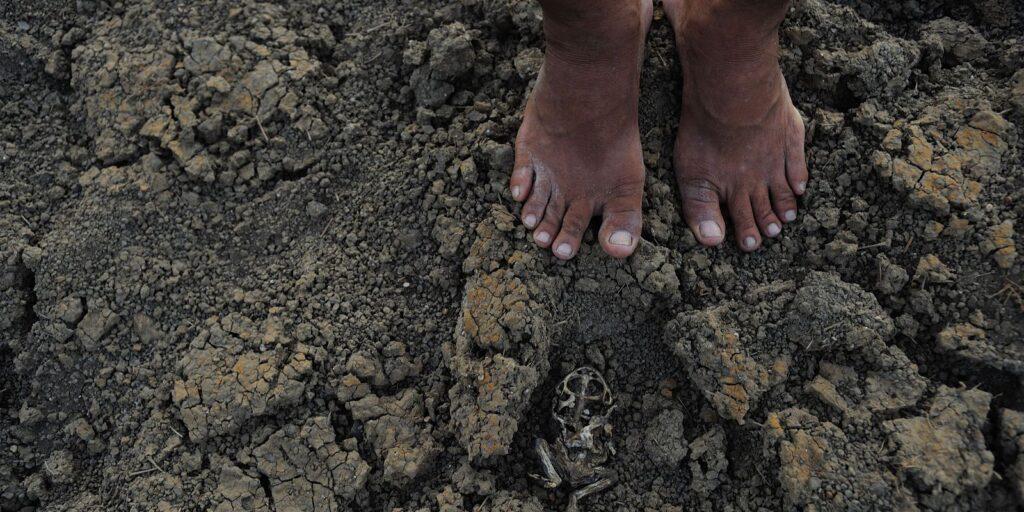 Governos estudam ações para mitigar efeitos da seca no Piauí