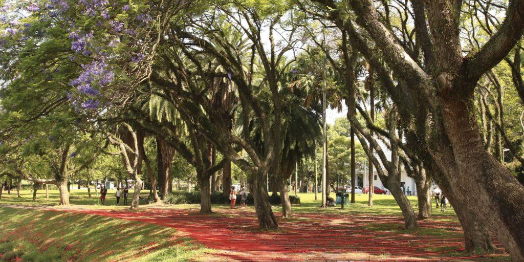 Parques estaduais de SP voltam a funcionar em horário normal