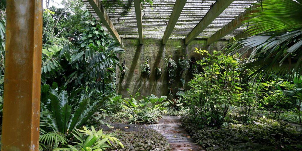 Sítio Roberto Burle Marx, um legado para a humanidade