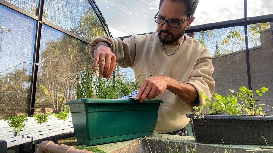 Luciano Camargo exibe primeira colheita de sua horta e comemora: 