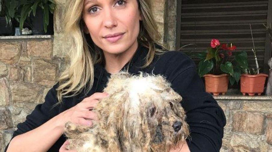 Luisa Mell desabafa sobre violência médica e diz: 