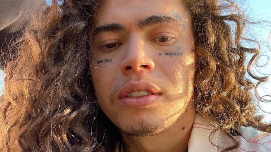 'Vi tamanduás carbonizados e até um cavalo agonizando', diz Whindersson Nunes