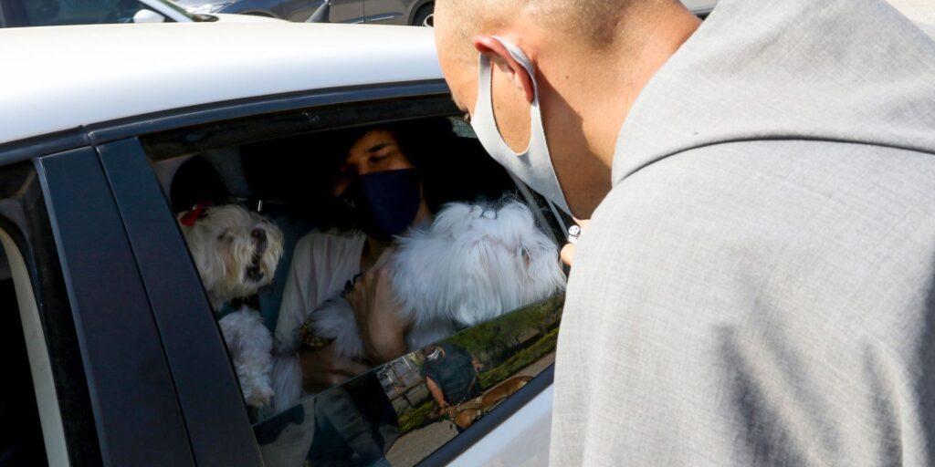 Latam suspende venda de transporte de pets no porão das aeronaves