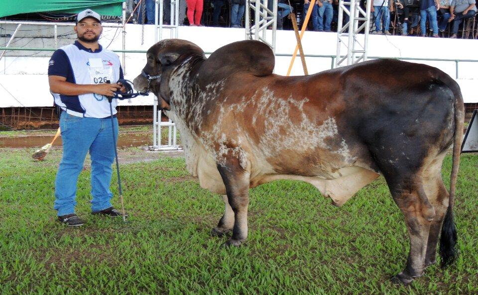 Aberta a 58ª Exposição Agropecuária de Goiânia