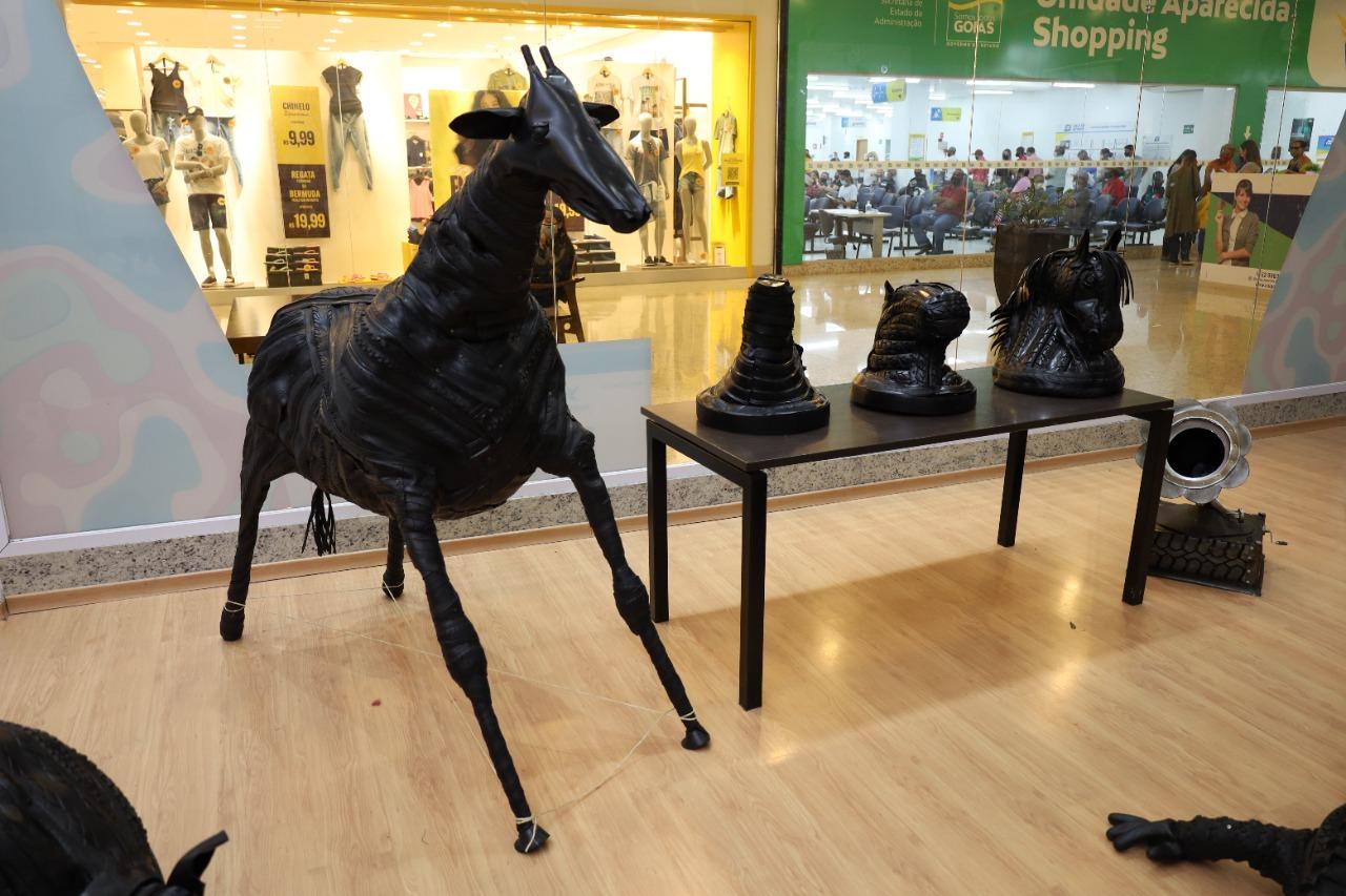 Exposição destaca arte sustentável de artista aparecidense