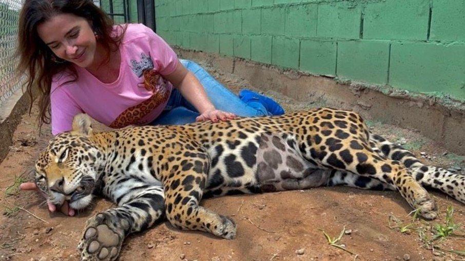 Luma de Oliveira adota uma onça em Goiás: 