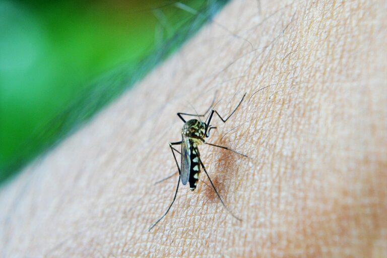 Goiânia realiza mais uma ação de combate à dengue em imóveis fechados