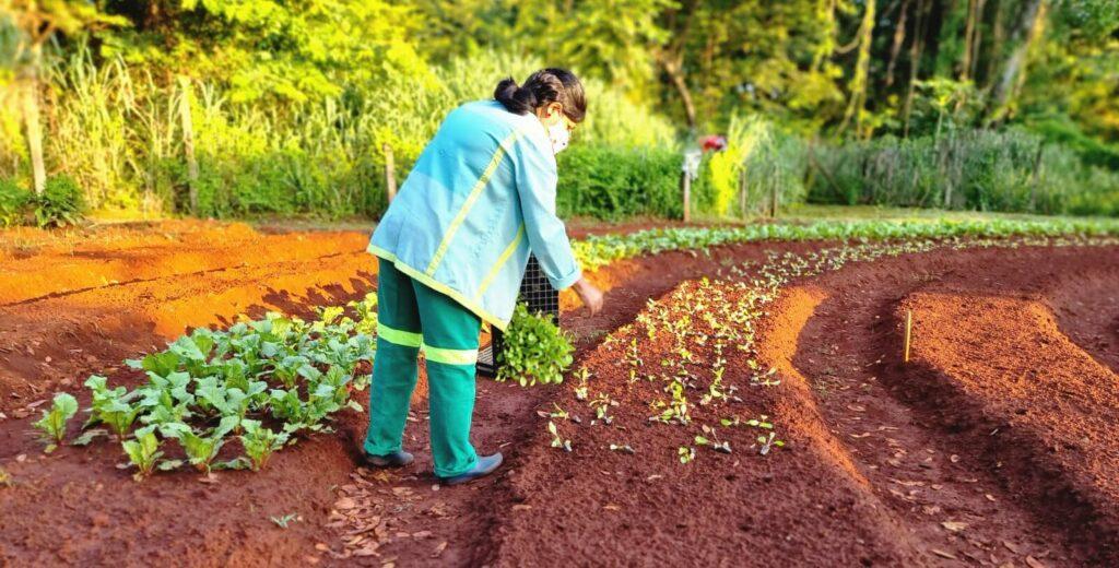 Projeto Horta Comunitária planta 3.500 mudas no Cras Floresta