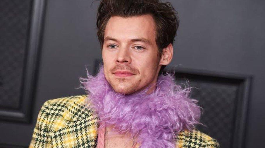 Mulher entra com processo depois de show de Harry Styles: 