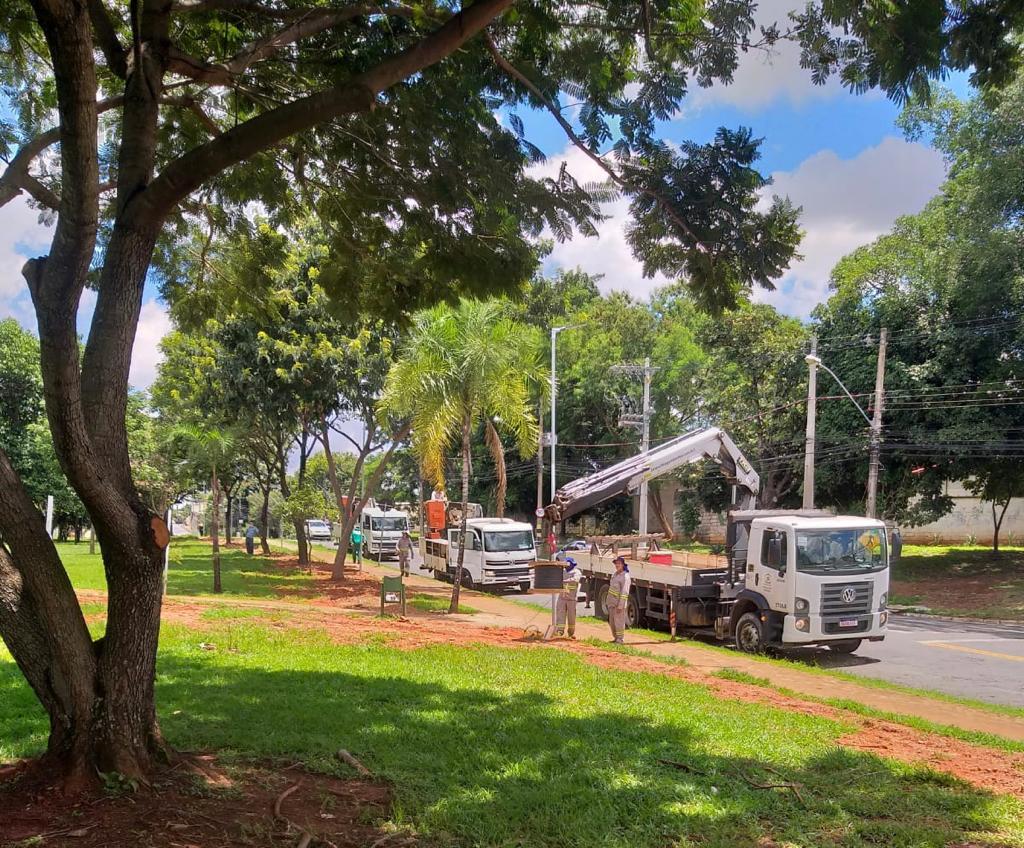 Prefeitura de Goiânia faz reparos na rede de iluminação em 43 bairros, nesta sexta-feira (25/02)