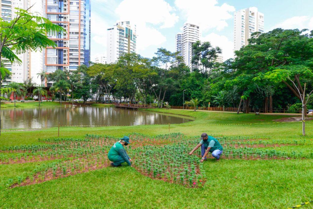 Prefeitura de Goiânia lança Projeto Flores no Parque com 17 mil mudas ornamentais