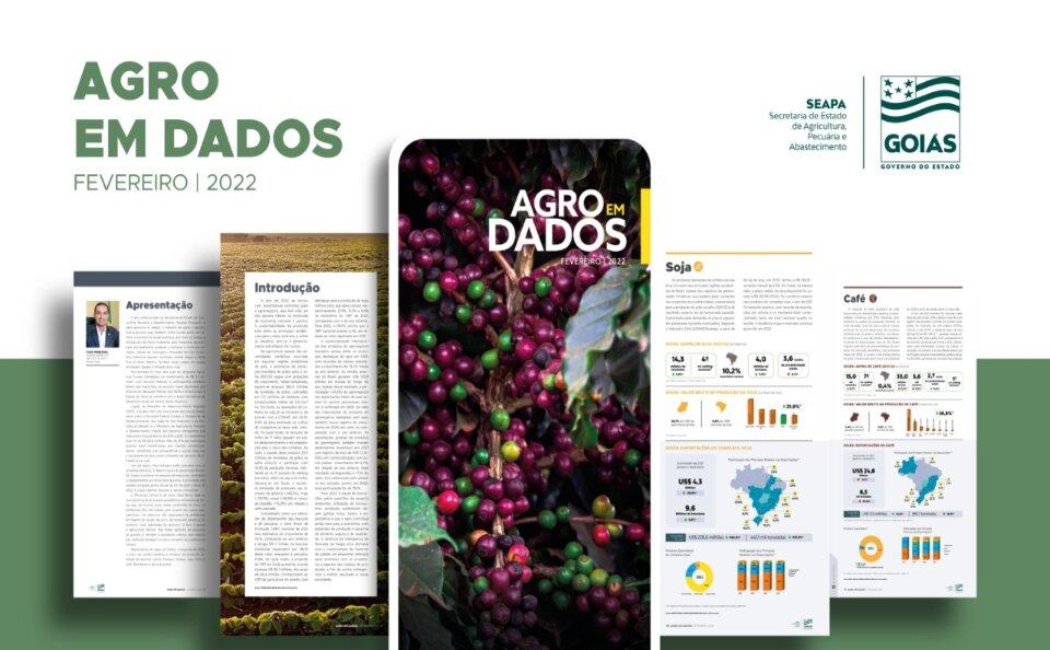 Produção de café deve aumentar 6,7% em Goiás