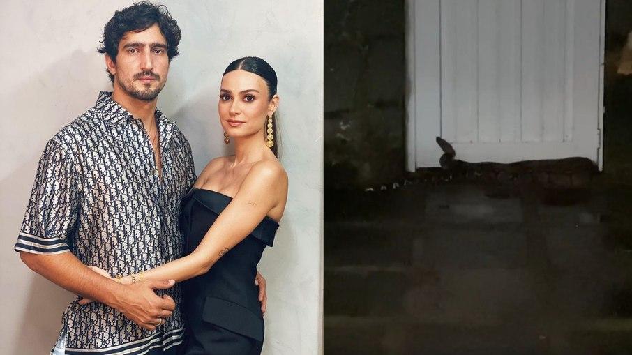 Thaila Ayala encontra cobra em casa após estreia de 