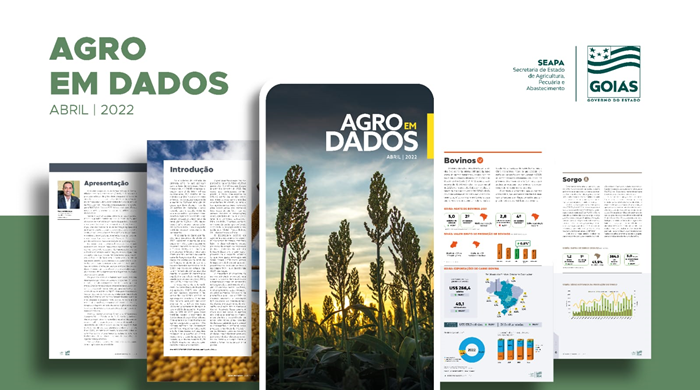 Cada vez mais estratégica, produção de sorgo é destaque em Goiás