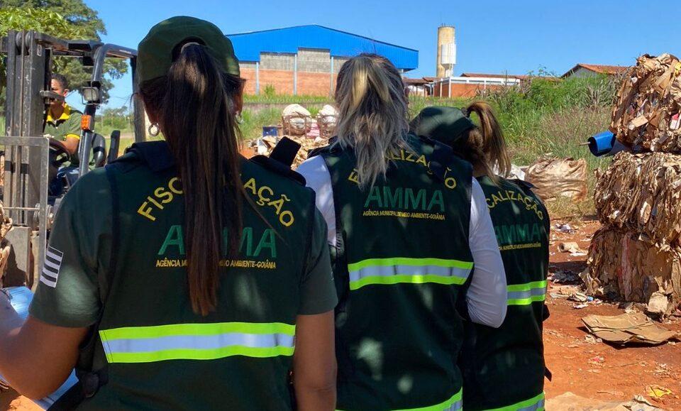 Força-tarefa da Prefeitura de Goiânia contra dengue encontra focos do Aedes aegypti em 28,7% dos imóveis visitados