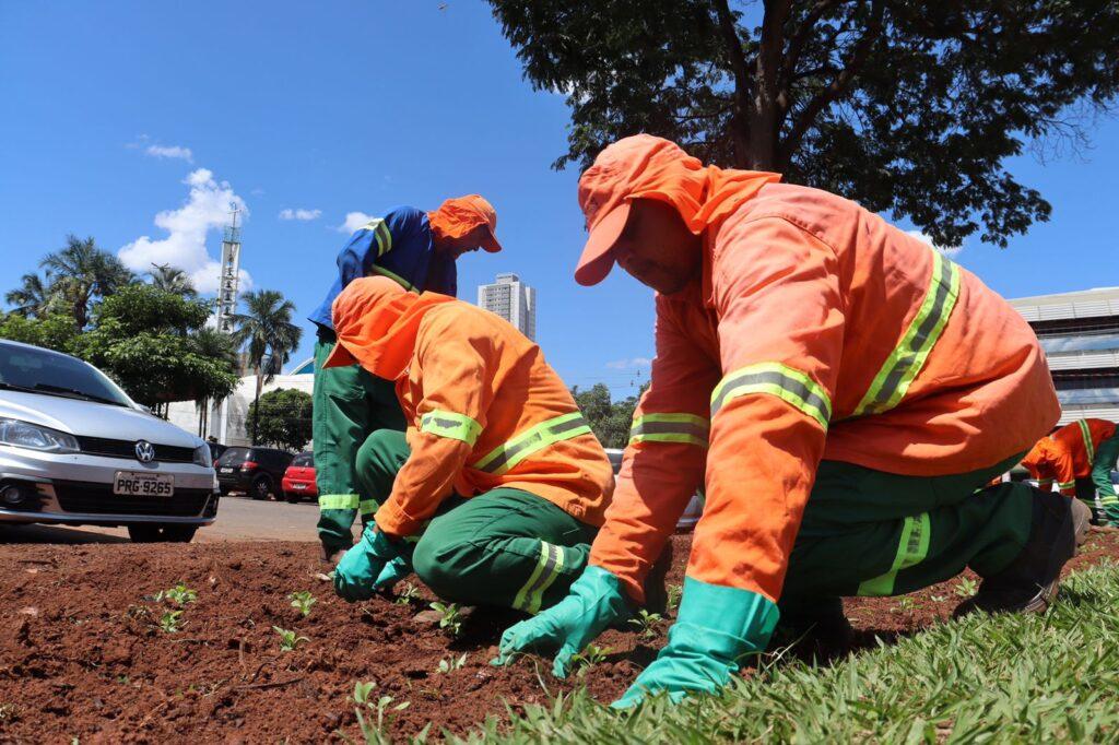 Prefeitura de Goiânia planta 1,3 milhão de mudas ornamentais em canteiros de ruas e praças