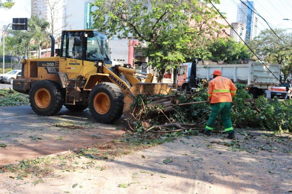 Prefeitura de Goiânia recolhe árvores caídas em vias públicas, após chuva intensa nesta terça-feira (12/04)