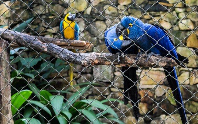 5 parques temáticos e aquáticos para curtir em família pelo Brasil