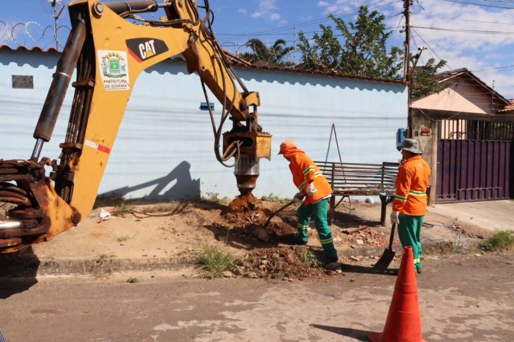 Em Maratona da Limpeza, Prefeitura de Goiânia retira raízes de calçadas para evitar prejuízos à acessibilidade de pedestres