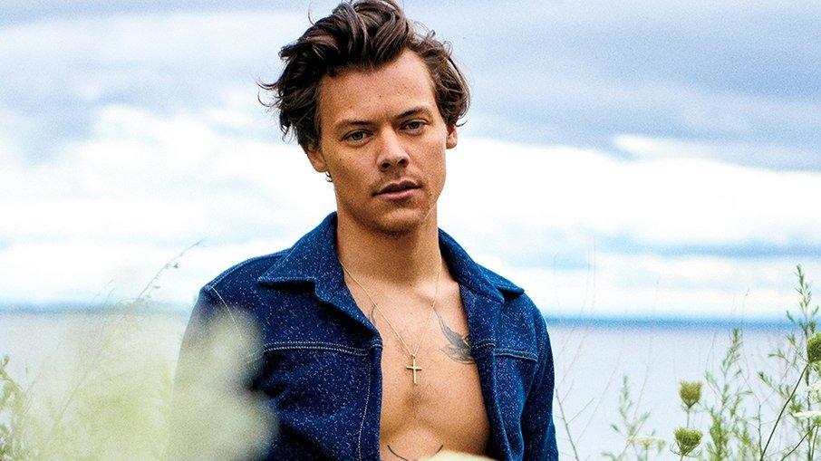 Harry Styles negociou exibição de seu pênis em cena de nudez de filme