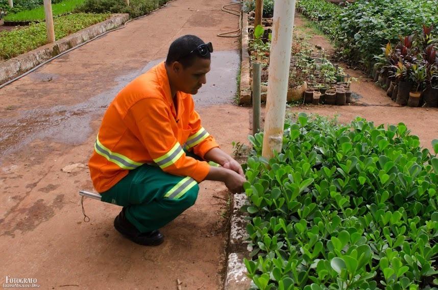 Produtor de mudas da Comurg, Rogerinho faz rifa para pagar faculdade de Pedagogia