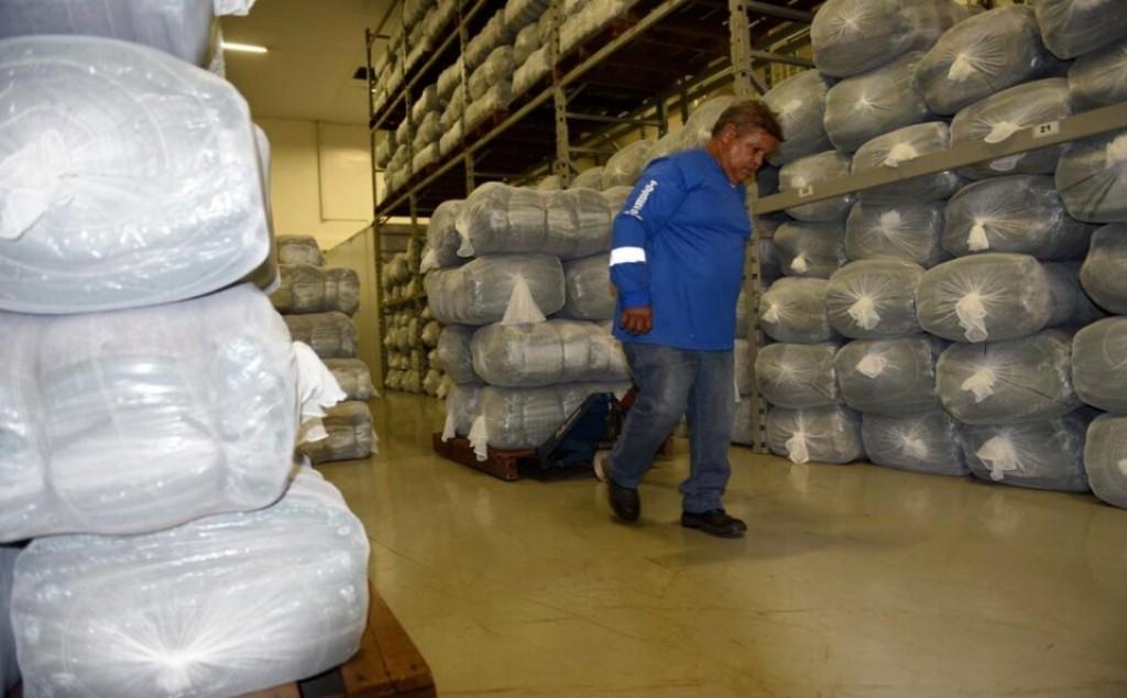 Gracinha Caiado participa de comemoração em homenagem aos 75 anos da OVG