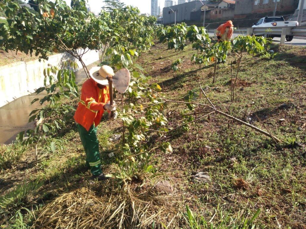 Prefeitura realiza limpeza e urbanização em 60 bairros de Goiânia, nesta quinta-feira (27/10)