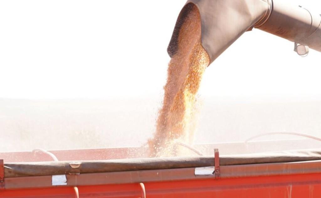 Contribuição do agro é optativa e para produtos com incentivos fiscais