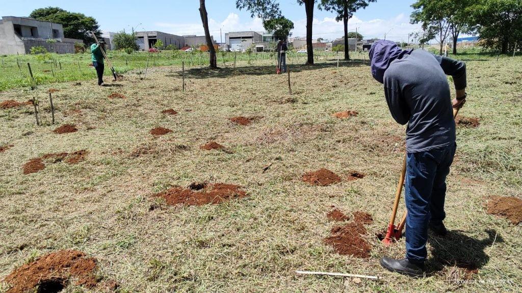 Prefeitura de Goiânia realizou, em outubro, plantio de 2.460 mudas de árvores em Áreas de Preservação Permanente