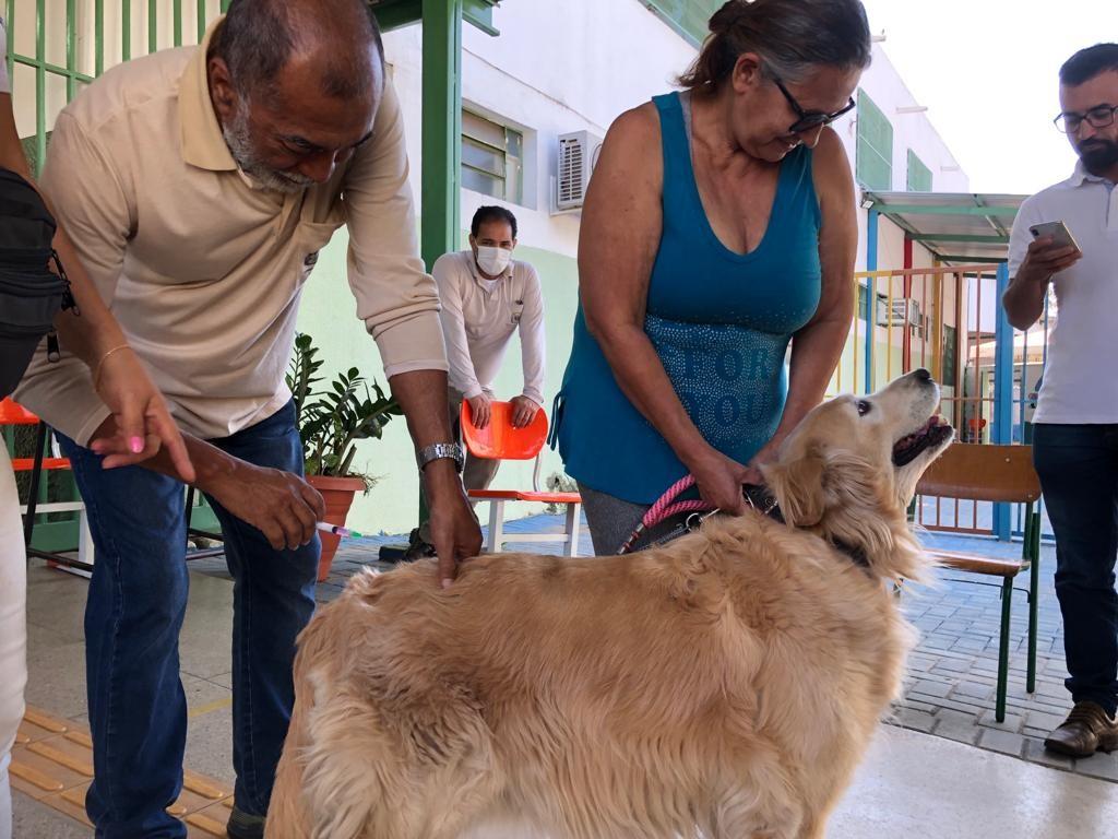 Prefeitura de Goiânia disponibiliza três postos de vacinação antirrábica para animais durante todo o ano, gratuitamente